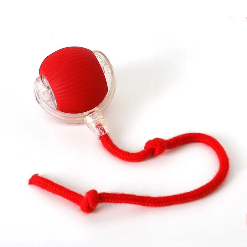 SmartPaw® Juguete Antiestrés Inteligente